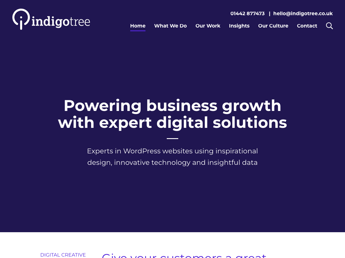 Indigo Tree Cint USA